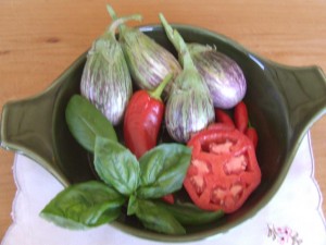 Listada de Grandia – Indian eggplant